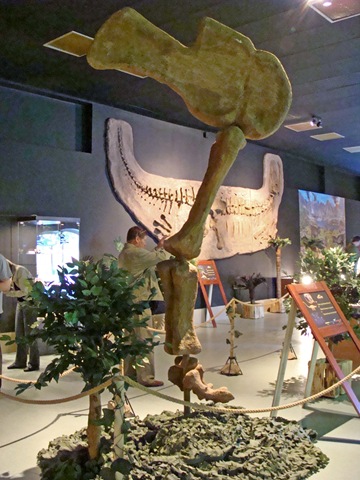 [DSC056702.jpg]