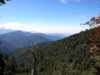 R0011559.JPG