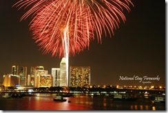 Marina Bay Count Down 