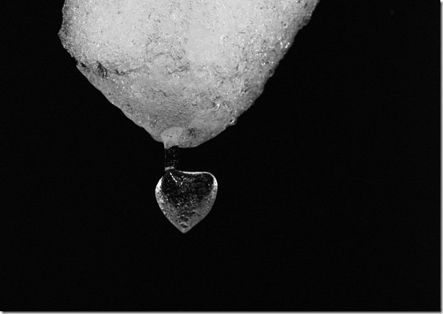 DSC_0257_edited-1