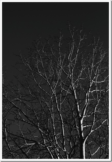 DSC_0288_edited-1