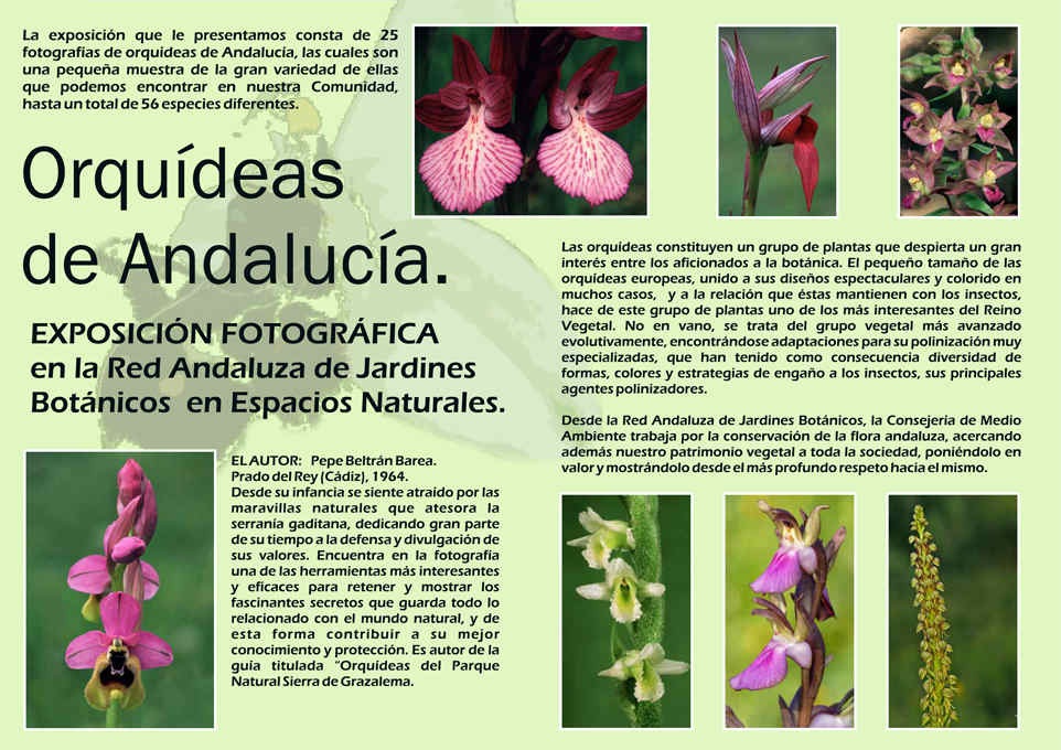 [orquideas-2[2].jpg]