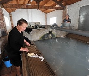 [2404749[3].jpg]