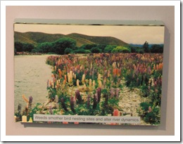 habitat loss_invasive weed