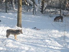 IMG_0182 IMG_0182