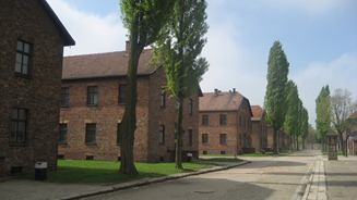IMG_1136 IMG_1136