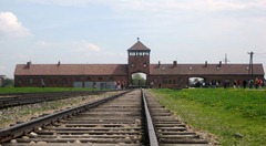 IMG_1202 IMG_1202