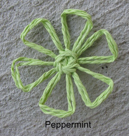 [peppermintdaisy[3].jpg]