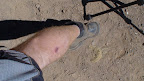 a small bite from a nice dog...