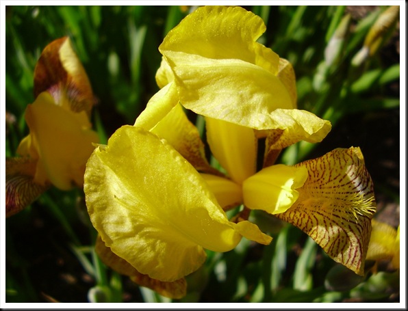 P6280101