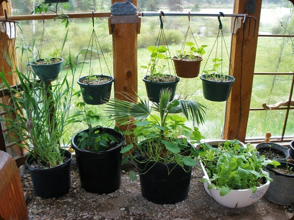 Greenhouse Greenhouse