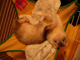 DSCN2340-01.jpg