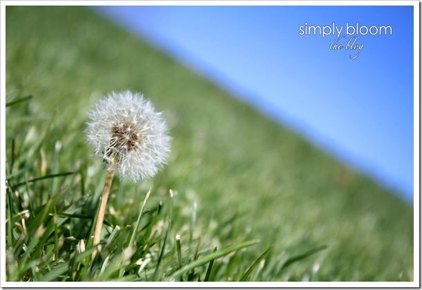 Weeds