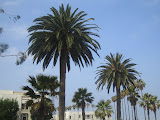 IMG_0627.JPG