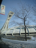 IMG_2245.JPG