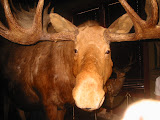 Picture 123.jpg