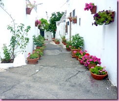 1alberobello-scorcio 1alberobello-scorcio