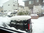 4月の大雪　その２