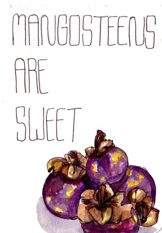 [mangosteen valentine copy[3].jpg]