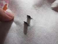 [IMG_0631_thumb[1].jpg]