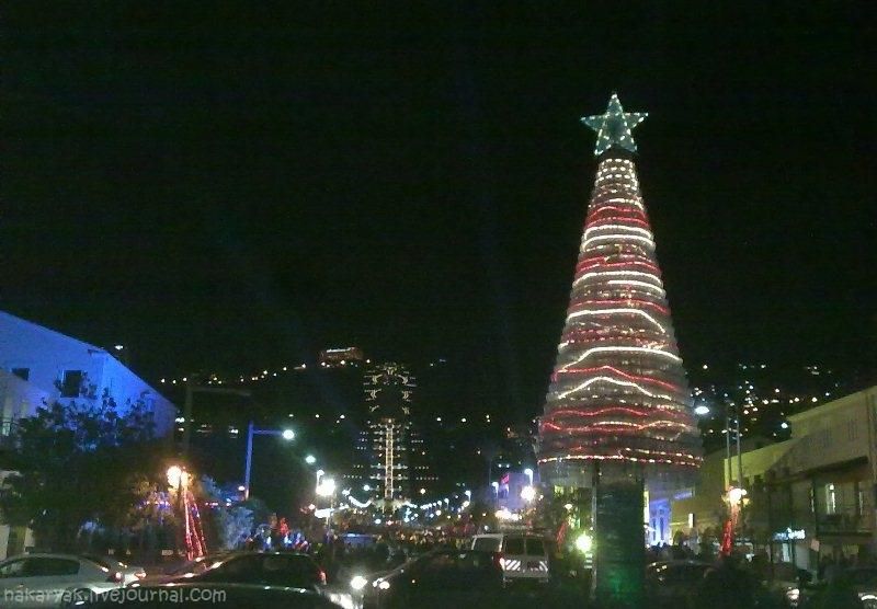 30122010622_wm.jpg