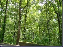 DSC02670