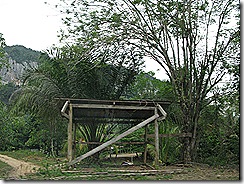 IMG_1703