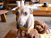 P1060014.JPG