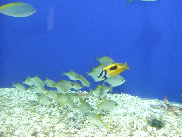 [Aquarium 003[2].jpg]