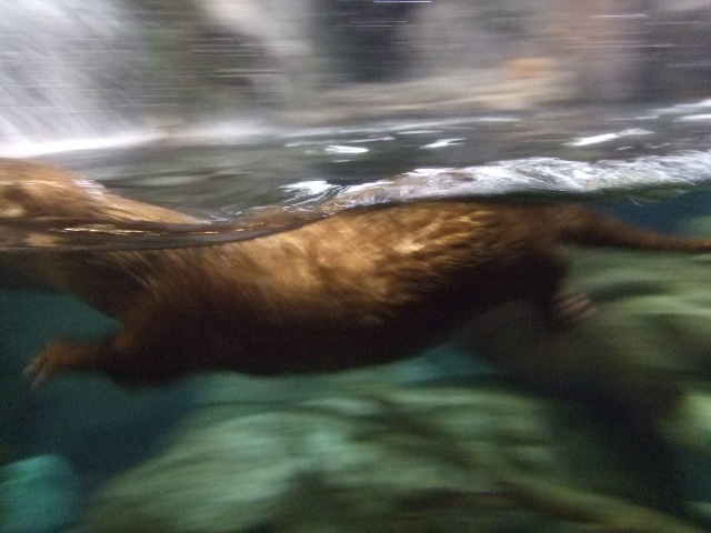 [Aquarium 005[2].jpg]