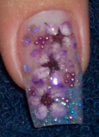 [nail8[2].jpg]