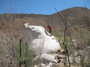 Cool looking rock a ways up the trail