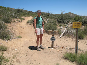Combs Peak Anza Borrego