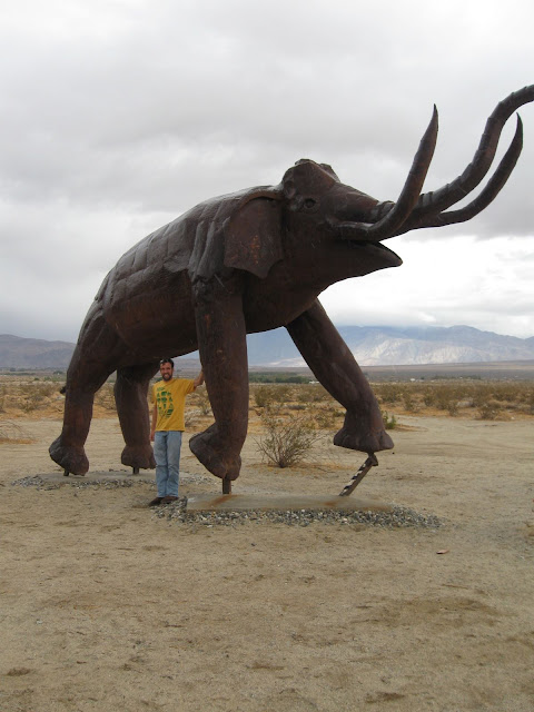 Anza Borrego - Creature Desert