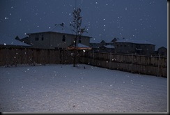 DSC01767