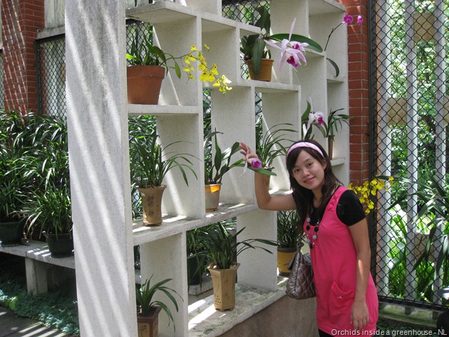 [Orchid Garden (13)[2].jpg]