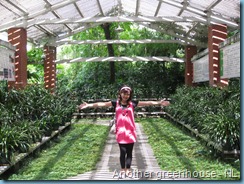 Orchid Garden (26)