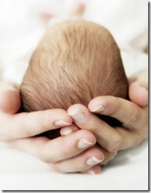 newborn-baby-head-in-human-hands-fingers-cradle-infant-new-hair-center-for-egg-options-human-egg-donation-egg-donors-photo
