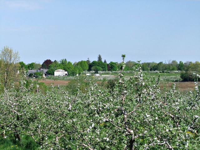 [orchard view b[4].jpg]