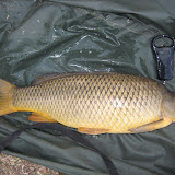 2009_02_15