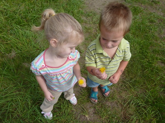 [P1000690[1].jpg]