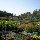Tuincentrum