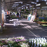 Planten en bomen markt.