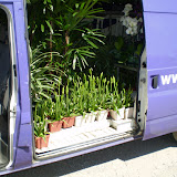 Pearsons florist transport vanaf de Sydney markets.