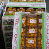 PA030078.JPG