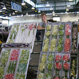 PA030092.JPG