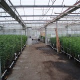 PA120012.JPG