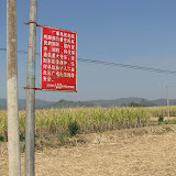 IMG_6169.JPG