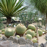 P1010174.JPG