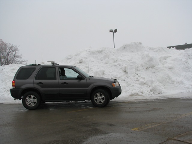 [sd jan 2010 069[2].jpg]